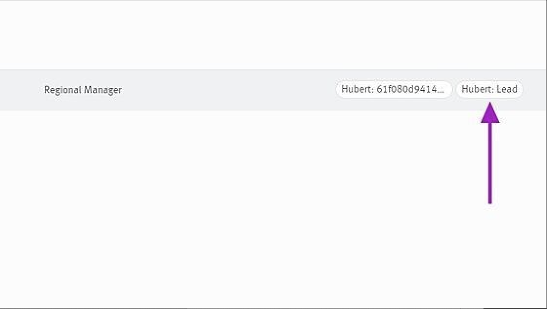 Close up of Hubert Lead tag on candidate profile in Lever