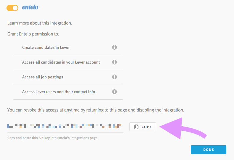 Lever settings showing tentelo section with arrow pointing to copy button next to the API key