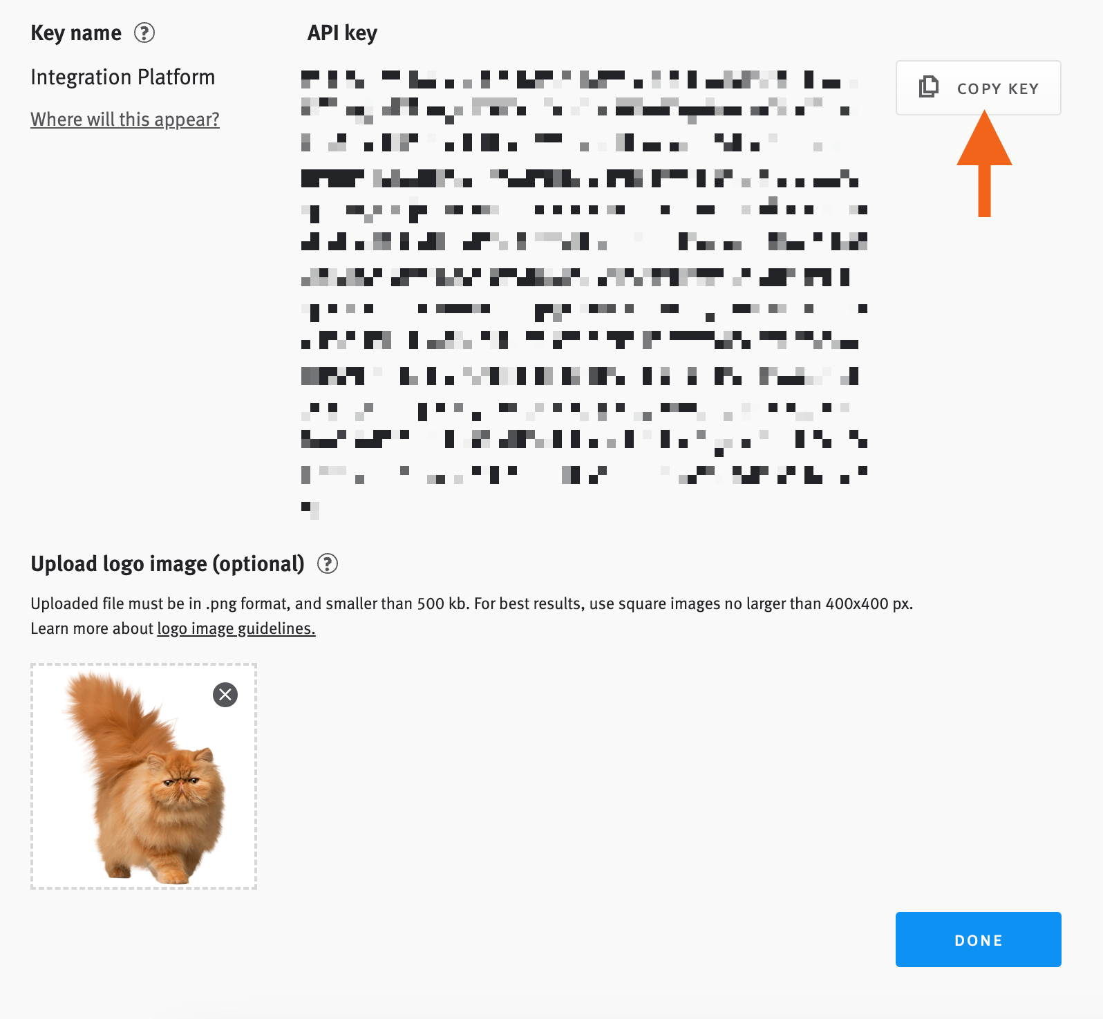 Blurred out API key with arrow pointing to copy key button.