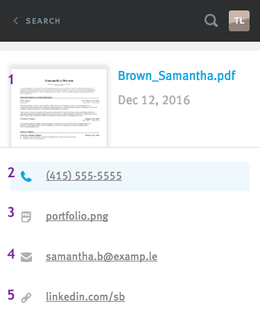 Candidate resume and personal information on Lever mobile site; information fields labelled 1 through 6